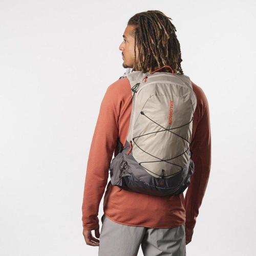 Xt 20 Feather Gray/Plum Kıtten/Cherry Tomato Sırt Çantası Lc2184200