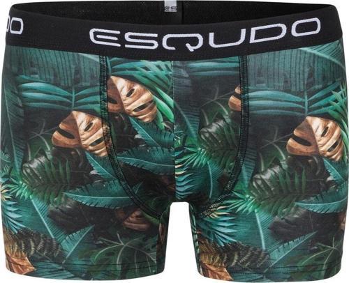 Djtl Erkek Çok Renkli Günlük Stil Boxer Esbxd0026