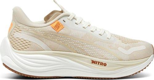 Velocity Nitro 3 Kadın Gri Koşu Ayakkabısı 37957501