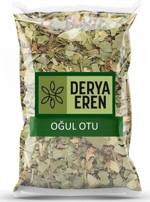 Oğul Otu 1 kg