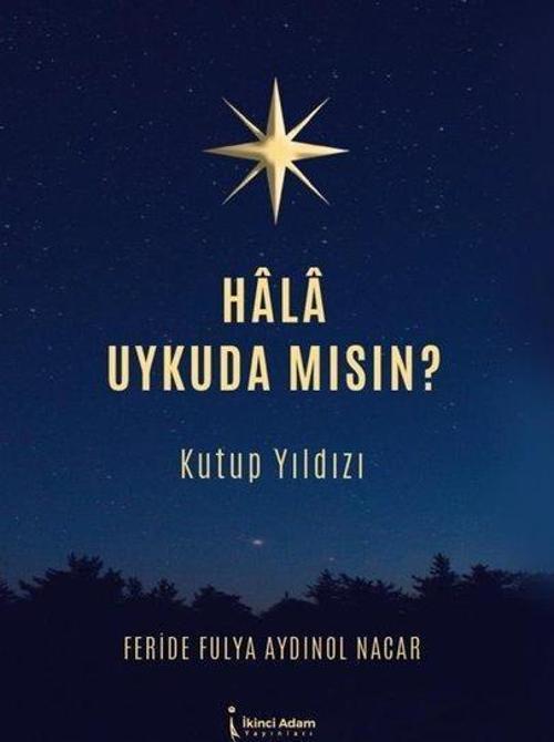 Hala Uykuda Mısın? Kutup Yıldızı