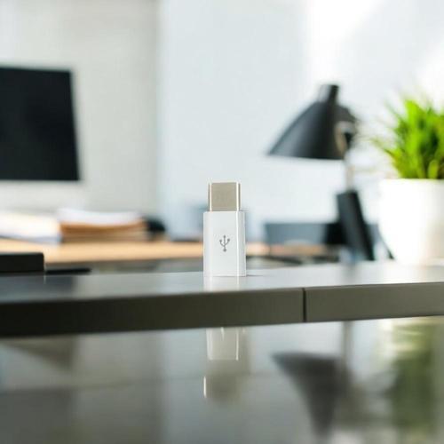 Dönüştürücü Micro USB>Type-C Beyaz Renk