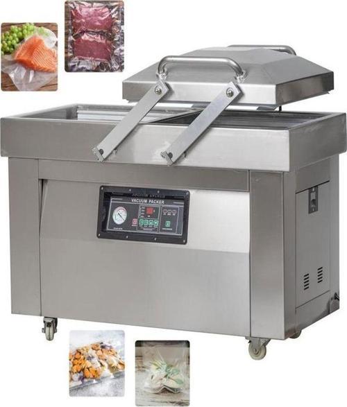 DZ-600/2SD Profesyonel Vakum Azotlu Paketleme Makinesi 380 Volt