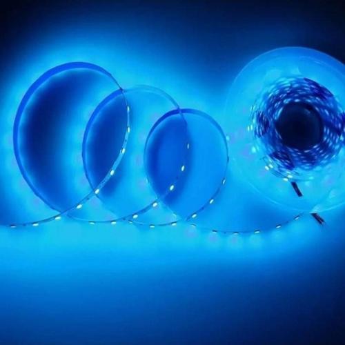 Turkuaz Şerit Led 10 Çipli Iç Mekan 5 Metre