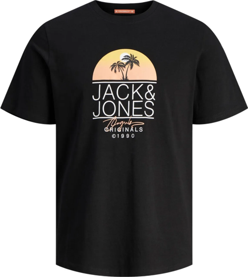 Erkek T-Shirt 12255238