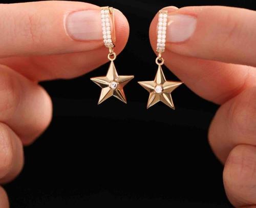 Yıldız Altın Küpe