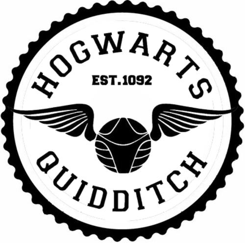 Hogwarts Quıddıtch Tasarım Sticker 40 x 40 cm 331876