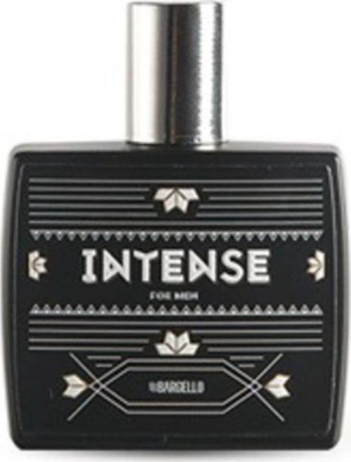 ERKEK PARFÜM INTENSE 50 ML EDP