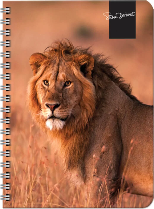 Color Süha Derbent Çizgili Defter 17x24 cm 120 Yaprak 326811-99