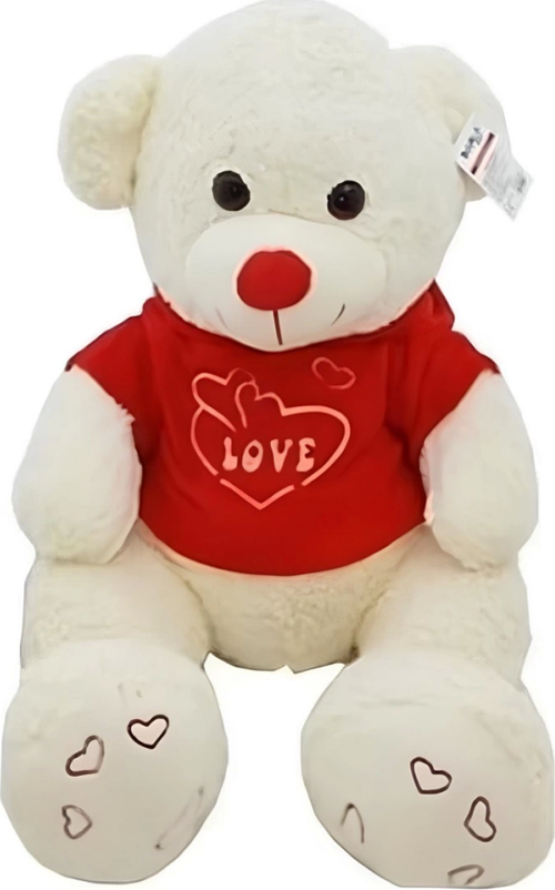 Damla Toys Kapişonlu Ayı 80 Cm