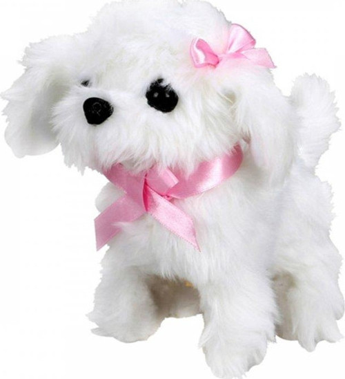 Sunman Sevimli Köpek Maltese