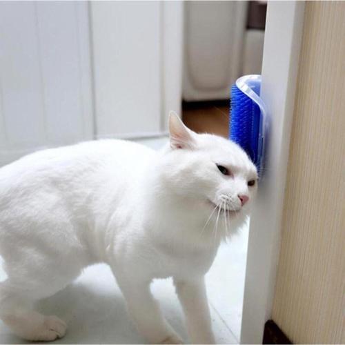 Cat It Pratik Kedi Tüyü Kaşıma Ve Tarama Aparatı Duvara Monte