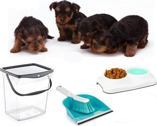 Evcil Hayvan Kedi Köpek Mama Ve Temizlik Seti ( Mama Kovası- Mama Ve Su Kabı- Kürek - Süpürge)
