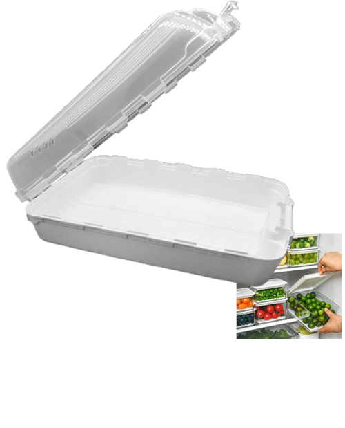 Buzdolabı Saklama Kabı Organizer Royaleks-07412