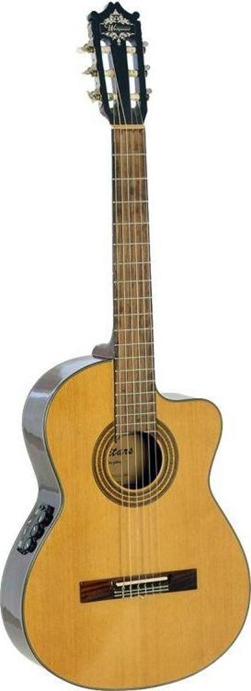 Elektro Klasik Gitar (Taşıma Çantası Hediyeli)