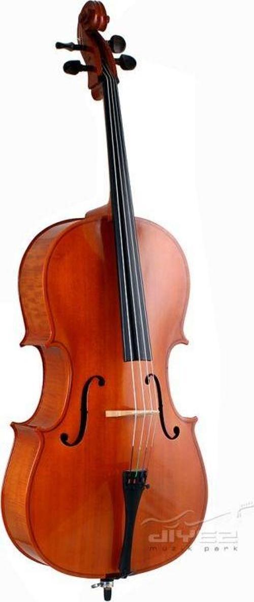 Le Mans Masif 2/4 Çello