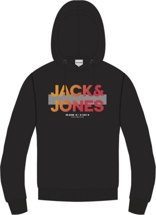 Erkek Kapüşonlu Sweatshirt 12182885