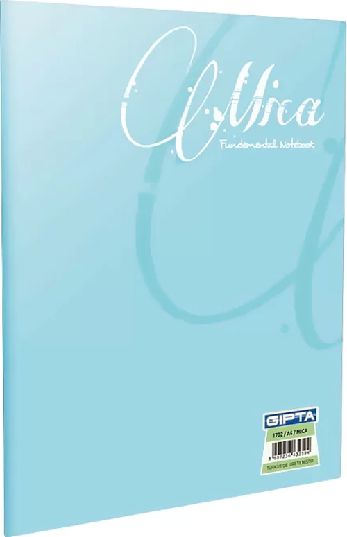 Mica Plastik Kapak Defter A4 Çizgili 40 Yaprak (1702)
