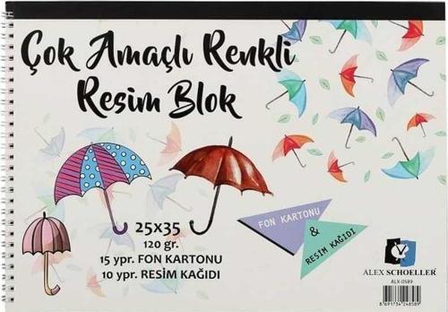 Spiralli Çok Amaçlı Resim Defteri 25X35 Cm 25'Li