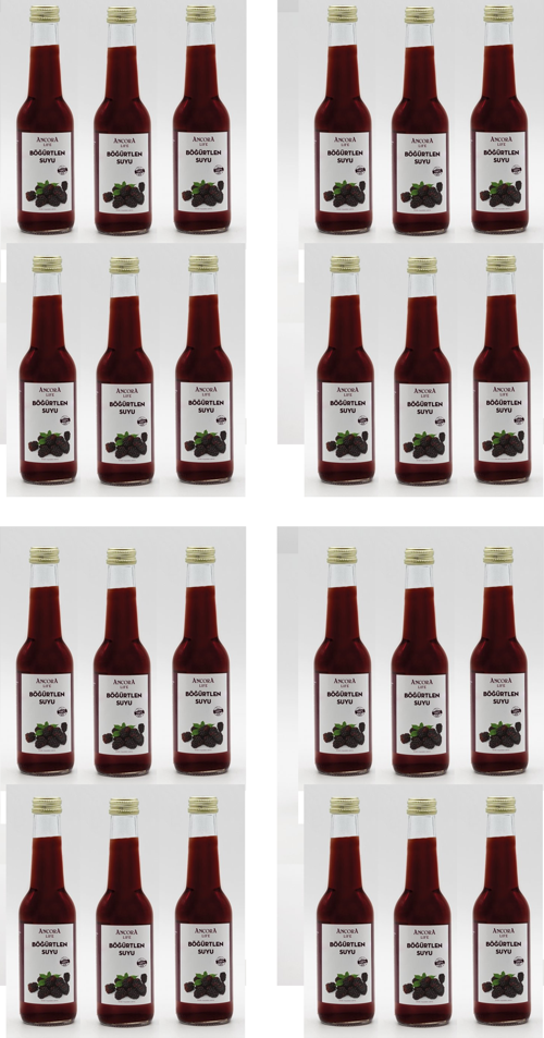 Sıkma Böğürtlen Suyu 250 Ml X 24 Adet