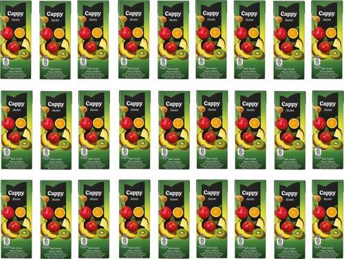 Atom Ballı Karışık Meyve Nektarı 200 Ml X 27 Adet