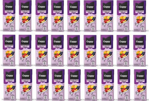 Bahçe Karışık Meyve Nektarı 200 Ml X 27 Adet