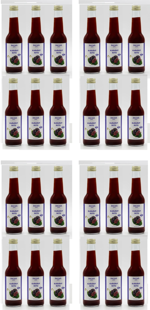 Sıkma Karadut Suyu 250 Ml X 24 Adet