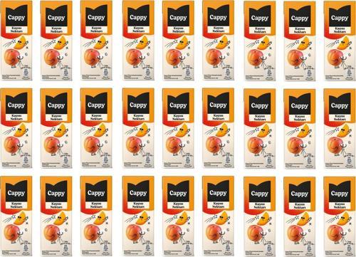 Bahçe Kayısı Nektarı 200 Ml X 27 Adet