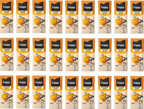Bahçe Portakallı İçecek 200 Ml X 27 Adet