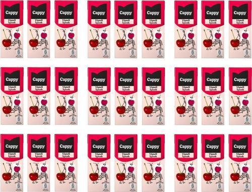 Bahçe Vişneli İçecek 200 Ml X 27 Adet