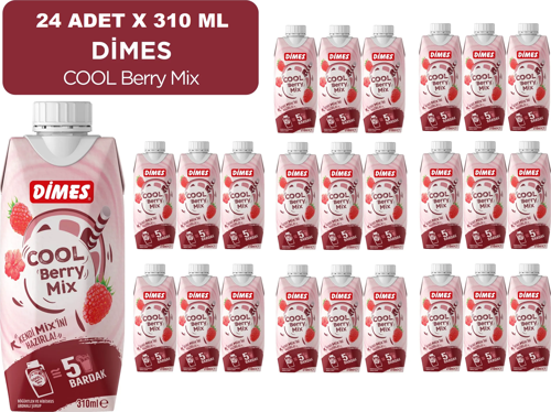 Cool Beryy Mix 310 Ml X 24 Adet