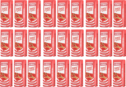 Karpuz Ve Çilekli İçecek 200 Ml X 27 Adet
