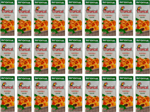 Tropical Kayısılı İçecek 200 Ml X 27 Adet