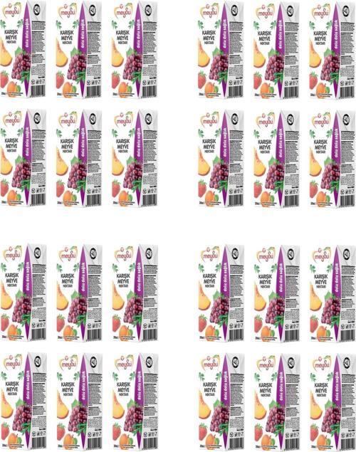 Karışık Meyve Nektarı 200 Ml X 24 Adet