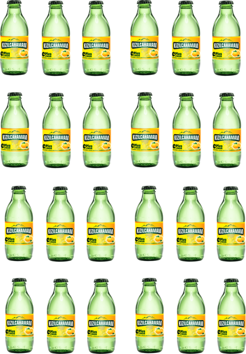 Çamlık C Plus Limon Aromalı Maden Suyu 200 Ml X 24 Adet