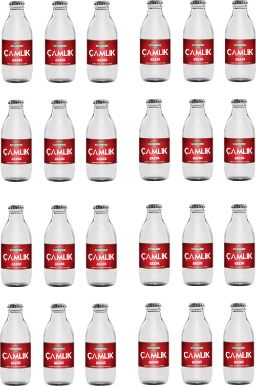 Çamlık Gazoz 200 Ml X 24 Adet