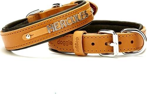 Yumuşak Dokulu İsimlikli Köpek Boyun Tasması Kamel Sbt-2514