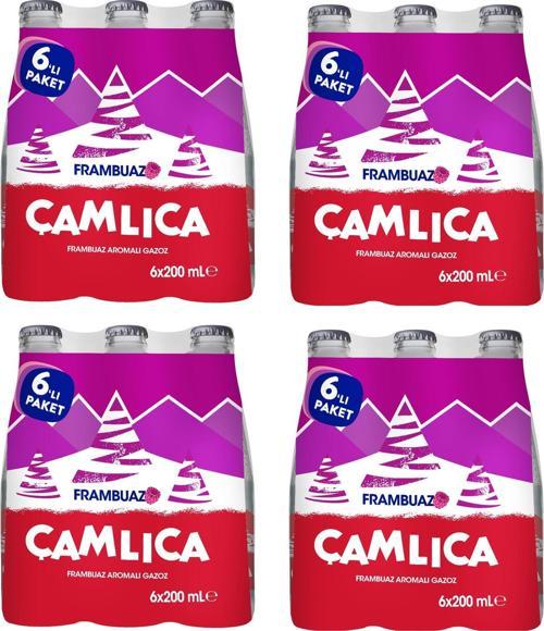 Frambuaz Aromalı Gazoz 200 Ml X 24 Adet