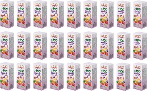 %100 Karışık Meyve Suyu 200 Ml X 27 Adet