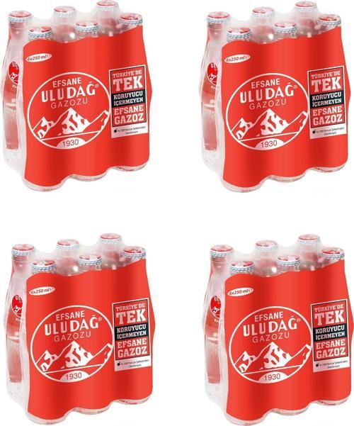Efsane Gazozu 250 Ml X 24 Adet