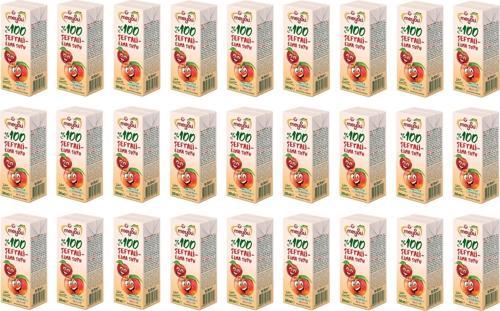 %100 Şeftali Elma Suyu 200 Ml X 27 Adet