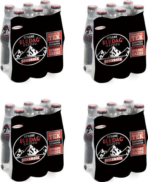 Efsane Gazozu Şekersiz 250 Ml X 24 Adet