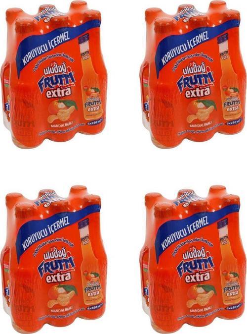 Frutti Extra Mandalinalı 250 Ml X 24 Adet