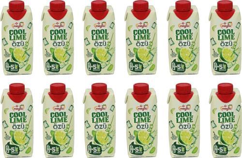 Cool Lime Özü 330 Ml X 12 Adet