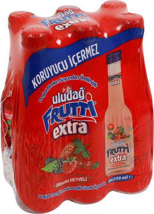 Frutti Extra Orman Meyveli 250 Ml X 6 Adet