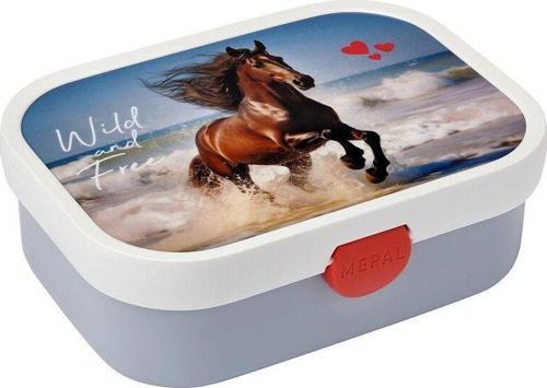 Lunch Box Campus - Wild Horse