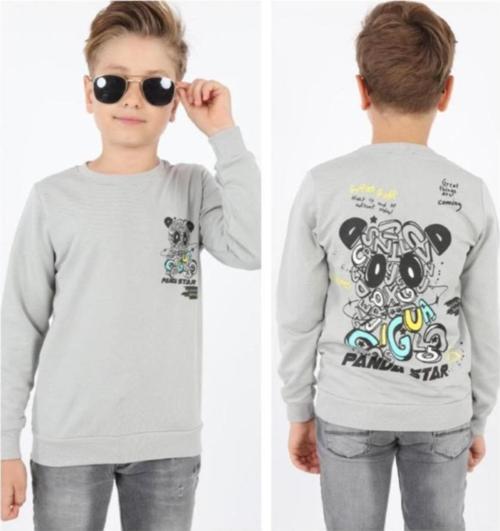 Erkek Çocuk Panda Star Önü Arkası Yazı Resim Desenli Gri Renk Sweatshirt