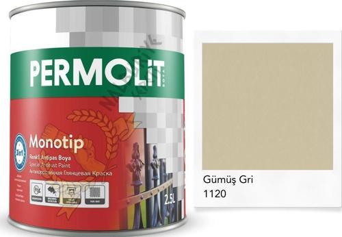 Monotip Astarlı Antipas Boya GÜMÜŞ GRİ 0.75 Lt.