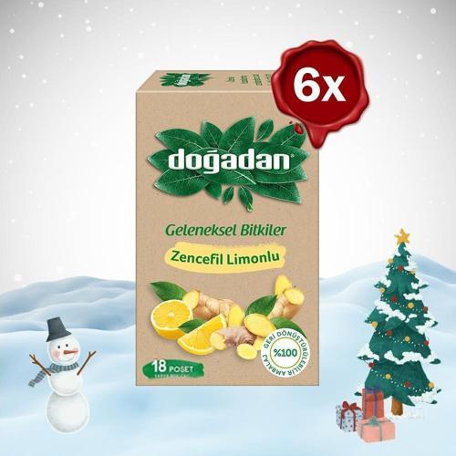 Yılbaşı Paketi Zencefil Limonlu Bitki Çayı 18'li x 6