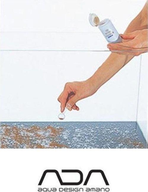 Bacter 100